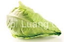 กะหล่ำปลีหัวใจ - Pointed Cabbage