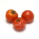 มะเขือเทศโทมัส - Table tomato