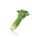 เซเลอรี่ - Celery